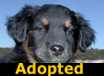 Baby Cakes - ADOPTED