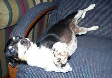 Maggie