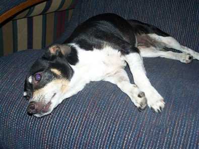 Maggie