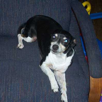 Maggie