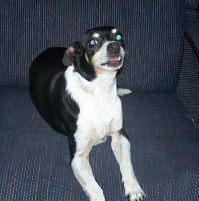 Maggie