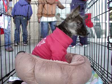 ET