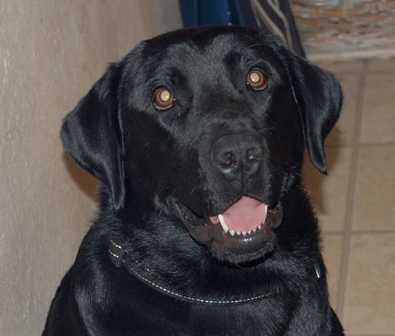 Marley