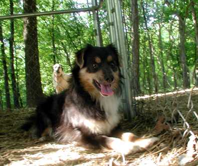 Sigmund