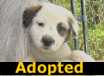 Elton - ADOPTED