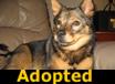 Tot - ADOPTED