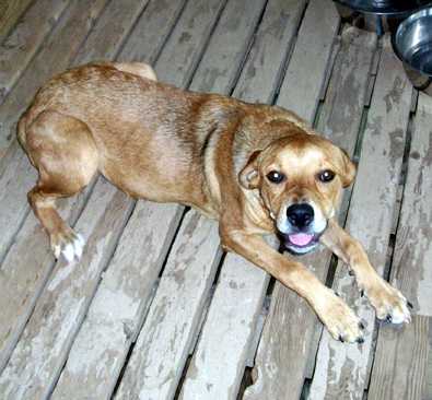Lucy