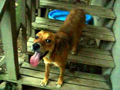 Lucy