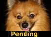 Chumley - PENDING