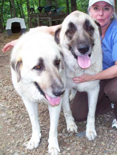 Quartermain and Kiskia