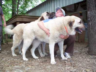 Quartermain and Kiskia