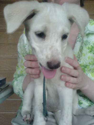 Betsey