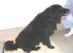 Spud - AVAILABLE
