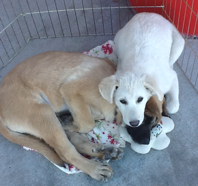 Flora and her brother Stanley