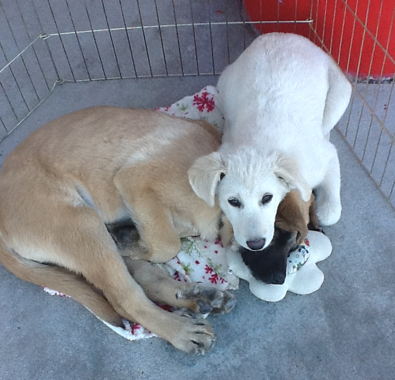 Stanley and sister Flora