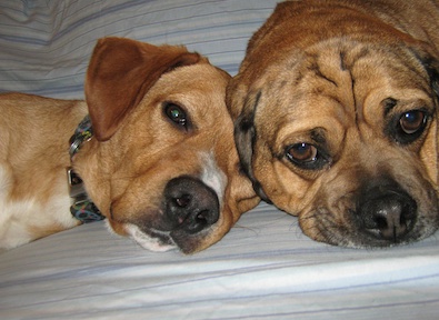 Happy (left)