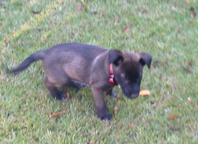 Baylee
