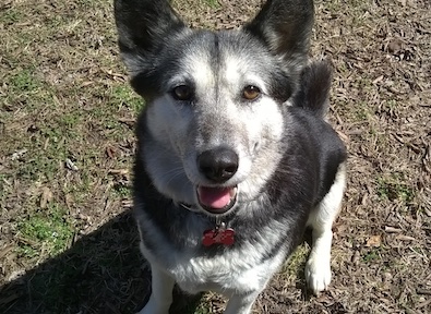 Marley