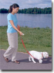 Walking on a loose leash
