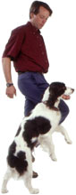 Kneeing dog away from jumping on you