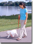 Puppy walking on a loose lease succesfully