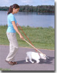 Donkey & Carrot Method