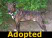 TJ - ADOPTED
