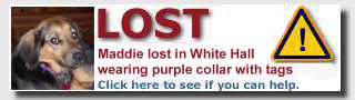 LOST - Sam