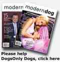 Modern Dog